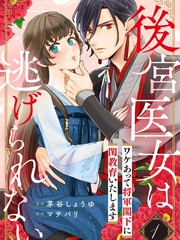 後宫医女无处可逃～因某些缘故对将军阁下进行房事指导～