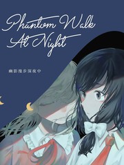 幽影安步深夜中